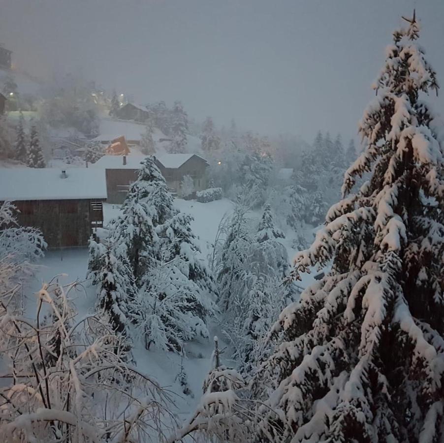 Panoramic Xalet La Molina Con Vistas Excelentes 빌라 외부 사진